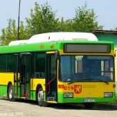 Mercedes O405NK CNG #019