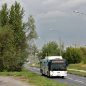 MAN NL313-15 CNG #1015