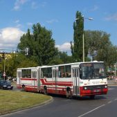 Ikarus 280.26 #799