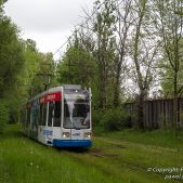 Bombardier NGT6 #RP620