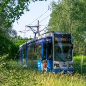 Bombardier NGT6 #RP604