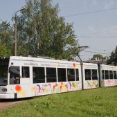 Bombardier NGT6 #2024