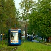 Bombardier NGT6 #RP606