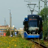 Bombardier NGT6 #RP641