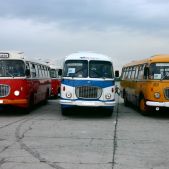 Škoda 706RTO CAR, Jelcz 043 i Jelcz 272 MEX
