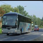 MAN Lion's Top Coach #164