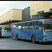 Jelcze T120 Trans-Freja