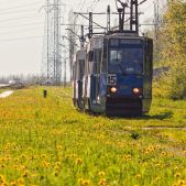 Konstal 105Na #491+498