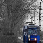 Konstal 105Na #382+383