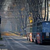 Konstal 105Na #392+393