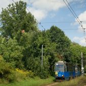 Konstal 105Na #416+419+420