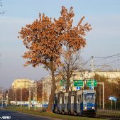 Konstal 105Na #445+446+405