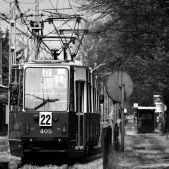 Konstal 105Na #445+446+405