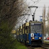 Konstal 105Na #482+483+484