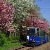Konstal 105Na #764+765+779
