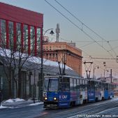Konstal 105Na #929+930+933