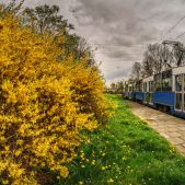 Konstal 105Na #470+471