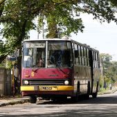 Ikarus 280.26 #6