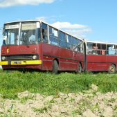 Ikarus 280.26 #6
