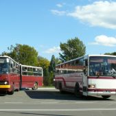 Ikarus 280.26 #6 i Jelcz 120T #BOC 0105