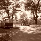 Miłośnicy i Ikarus 280.26 #6