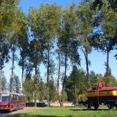Ikarus 280.26 #6