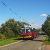 Ikarus 280.26 #6