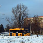 Solaris Urbino 10 #75