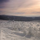 Widok ze Szrenicy
