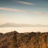 Tatry z Beskidu Sądeckiego