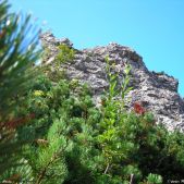 Sarnia Skała - Tatry