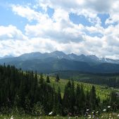 Widok z Tarasówki