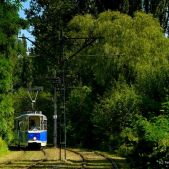 Konstal 102N #203