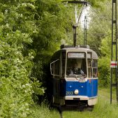 Konstal 102N #203