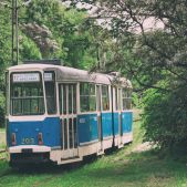 Konstal 102N #203