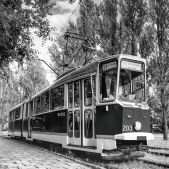 Konstal 102N #203