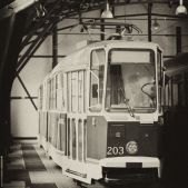 Konstal 102N #203