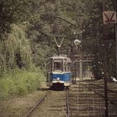 Konstal 102N #203