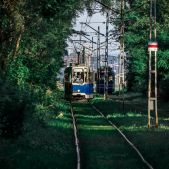 Konstal 102N #203