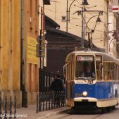 Konstal 102N #203