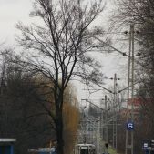 Konstal 102N #203
