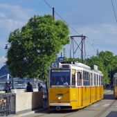 Ganz CSMG2 #1440