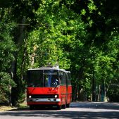 Ikarus 280.94 #245