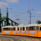 Ganz CSMG2 #1314