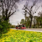 Ikarus 412.81 #712