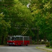 Ikarus 280.94 #247