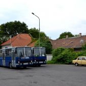 Ikarus 260.46 #BPO-662