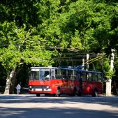 Ikarus 280.94 #242