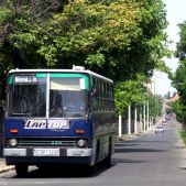 Ikarus 260.46 #15-23