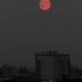 Pełnia nad miastem